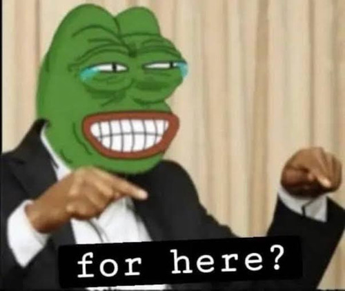 GvFQM5kWYAAOZZe.jpg