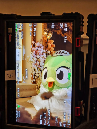我将在七月结婚！💍 1 多邻国Duolingo 来自小红书网页版.jpg