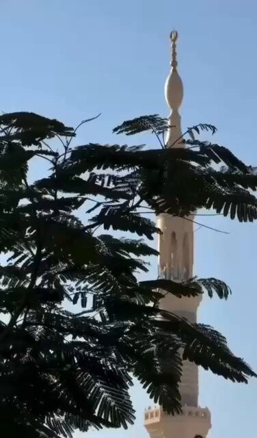 AxCMfAUjgW1WnKoL.jpg