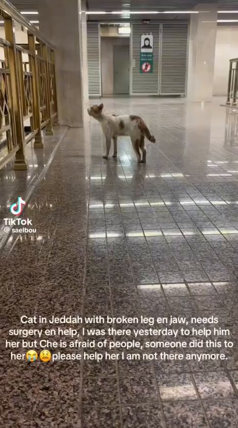 NO0kT6sTxsteanbV.jpg
