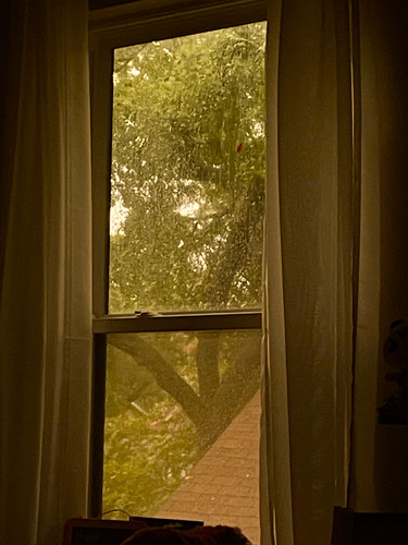 IMG 8601.jpg