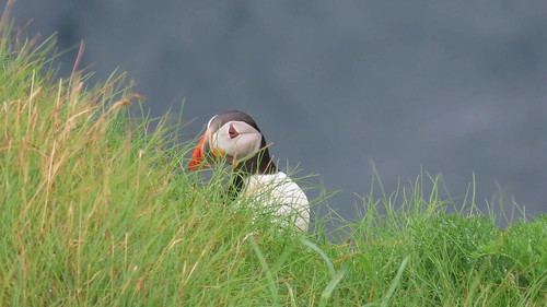 jc hFc7T2w79e3uw.jpg