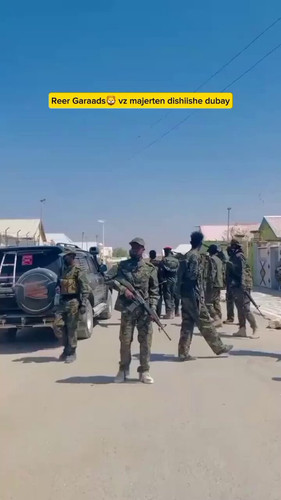 SJ1lb60tiKiX heH.jpg