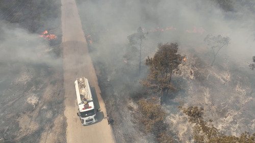 Xg FT7MT4NEJVGiD.jpg