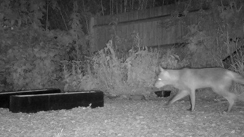 3IituYNqS1qf1N k.jpg