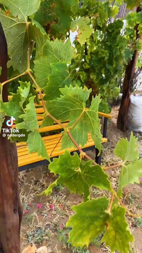 bH8H ApbOkAI5tWn.jpg