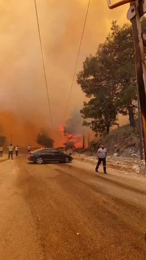 ZLhTcqF6 Ergz43k.jpg