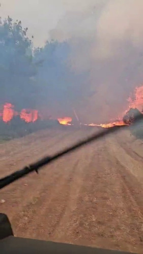 8K 9hJ9vdOxw3ORF.jpg