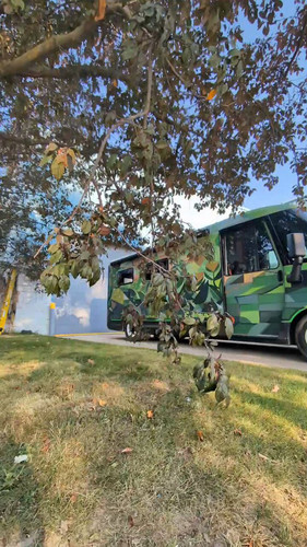 fogWB7 YQqZNpUGd.jpg