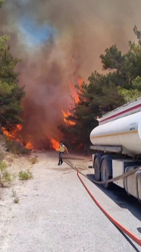 N MDB1l3nKla8cXS.jpg