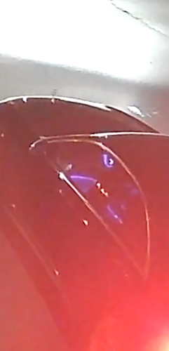 1000090982.png