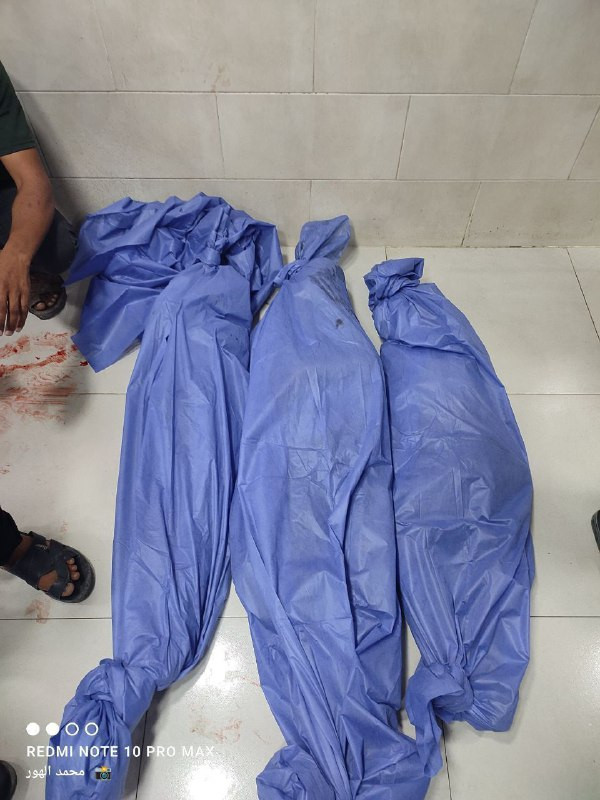 🟨جثامين 3 أشقاء من عائلة "فرج" بعد استشهادهم، بقصف الاحتلال على مخيم النصيرات وسط قطاع غزة....