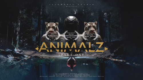 AnQlE5Fg2 5rlM z.jpg