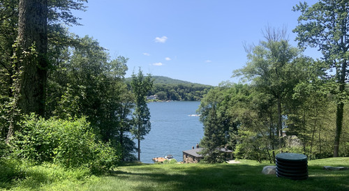 image1.jpg