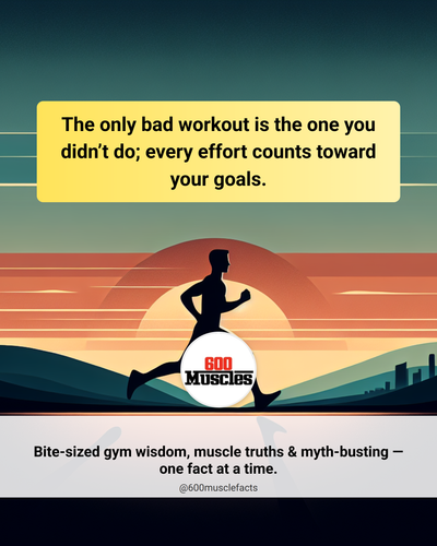 68dc4c12 55fc 46dc 9f56 57e3d323c290.png