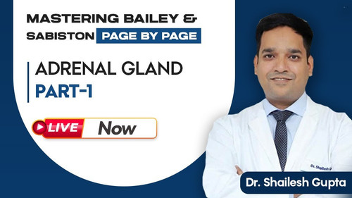 WhatsApp Image 2025 07 06 at 10.00.58 AM (1).jpg