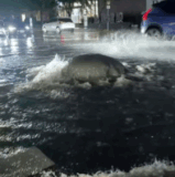 ScreenRecording 07 06 2025 10 29 31 1.gif