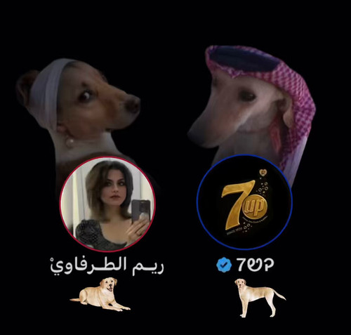 8bQK86fNjLqNxZUF.jpg