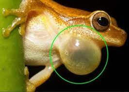 bc8b45977e4d.jpg