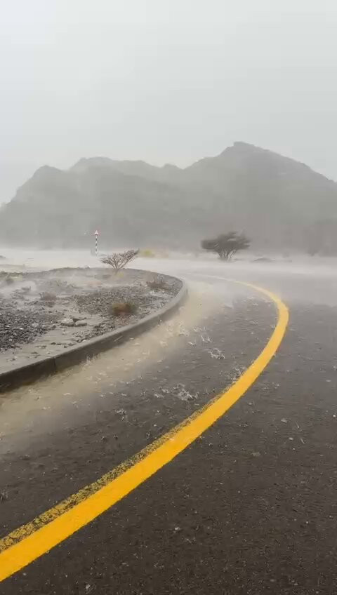 xhxXg BJlGuaMijx.jpg