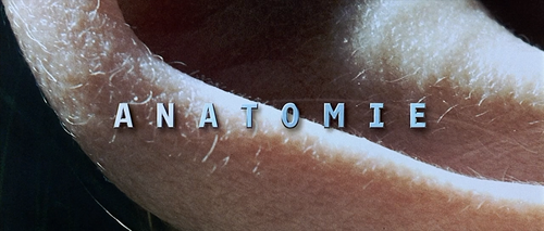 Anatomy.2000.720p.BluRay.x264 HDCLUB.mkv 000054415.png