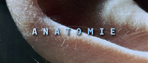 Anatomy.2000.1080p.BluRay.x264 GECKOS.mkv 000054165.png