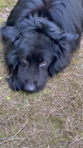 mJospYQ ZVByumqH.jpg