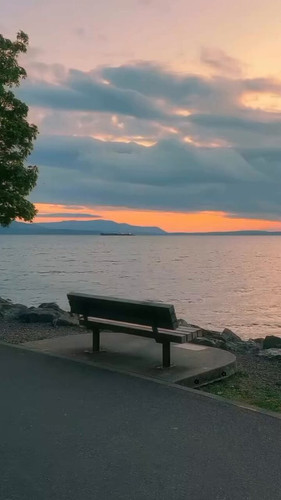 Tgog0 EWG7vNxm6n.jpg