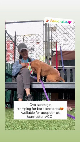 9udwRZ ZQicOL4qg.jpg