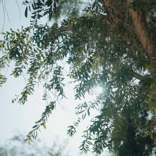 da aVq4Xcp92wlyi.jpg