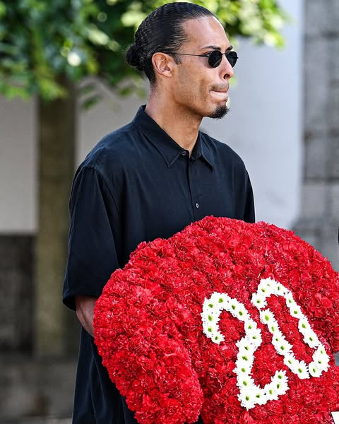 516473271 1033254795687738 4674859829894076343 n.jpg?stp=dst jpg s600x600 tt6& nc cat=108&ccb=1 7& n.jpg