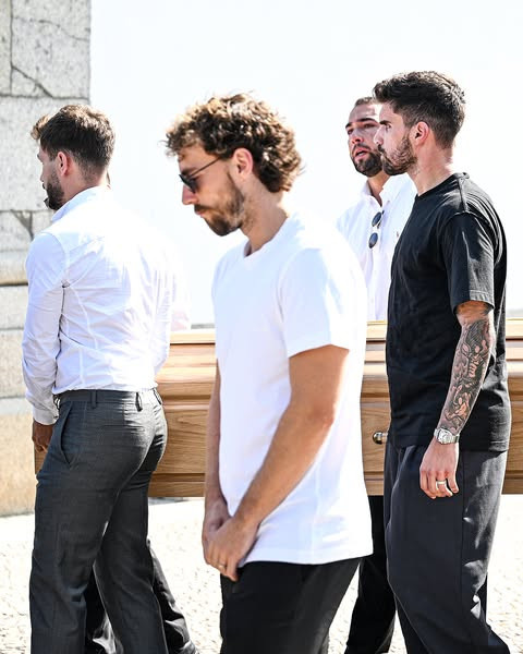 504376632 1033255102354374 4147774769709650699 n.jpg?stp=dst jpg s600x600 tt6& nc cat=106&ccb=1 7& n.jpg