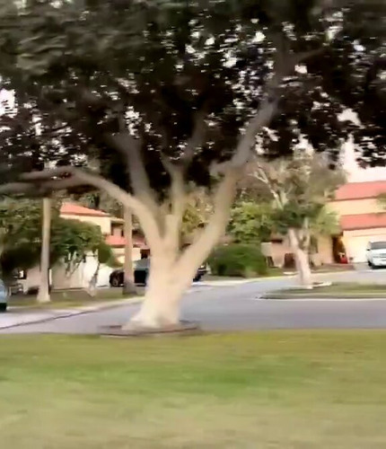 i QovUoSyKRzHBuw.jpg