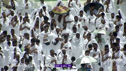 1aAwl vb0LutPvy0.jpg