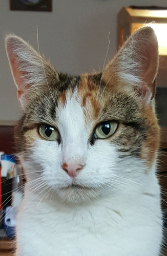 514952080 10239503797400178 7951911784186683747 n.jpg