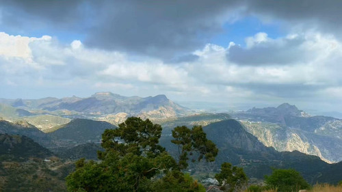 Yi y6GFnLdL YzFL.jpg