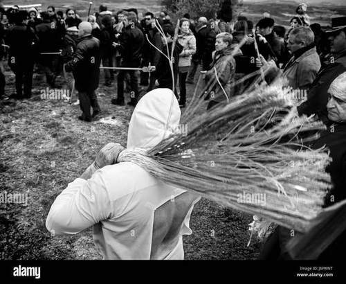 515505307 24434538472796341 8066858608180070188 n.jpg?stp=dst jpg p480x480 tt6& nc cat=101&ccb=1 7& .jpg