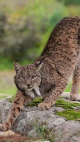 TT1xR9gV4KBpacw .jpg