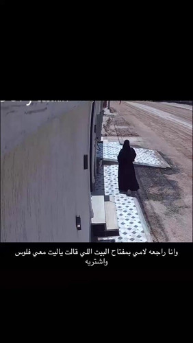 levIOgnjeekk wSP.jpg