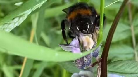 x1zpblGyFqhn55V .jpg