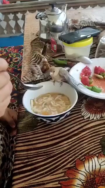 s0cqO1ZW oAYvLlU.jpg