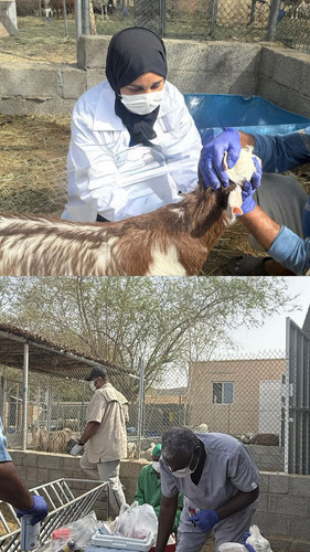 GvJfG7LWcAAXuJb.jpg