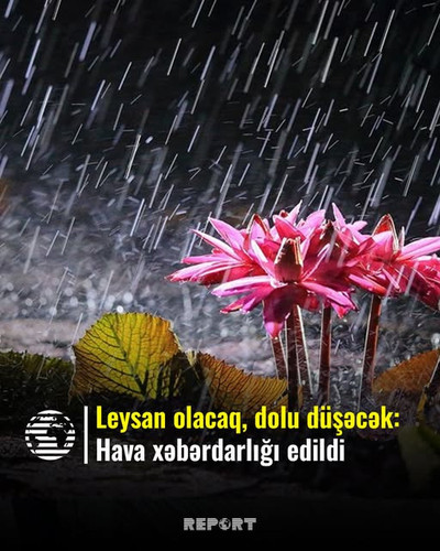 515502154 1038680038473384 2382890384084419183 n.jpg?stp=dst jpg s640x640 tt6& nc cat=105&ccb=1 7& n.jpg