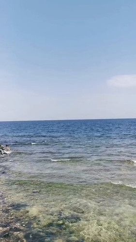 ZP37AyNW XeQ0RXg.jpg