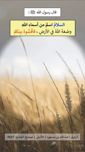 fjGMYLWERLjx VAz.jpg