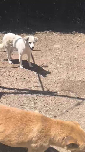 JxDv0 2xv0K mTv7.jpg