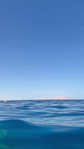 LvyXdUJ61q6hQ Zi.jpg