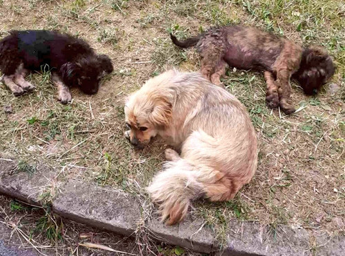 GvBiLvwWMAAo3Gq.jpg