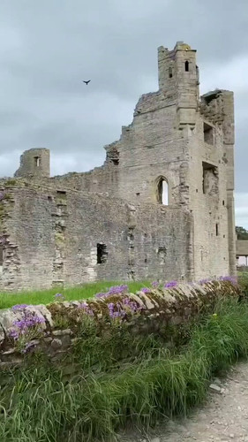 YNU 2Zz3PzBeMF3v.jpg