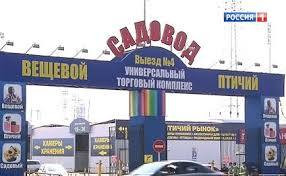 516438243 1148899863940142 2505848024939254500 n.jpg? nc cat=109&ccb=1 7& nc sid=127cfc& nc ohc=ia8q.jpg